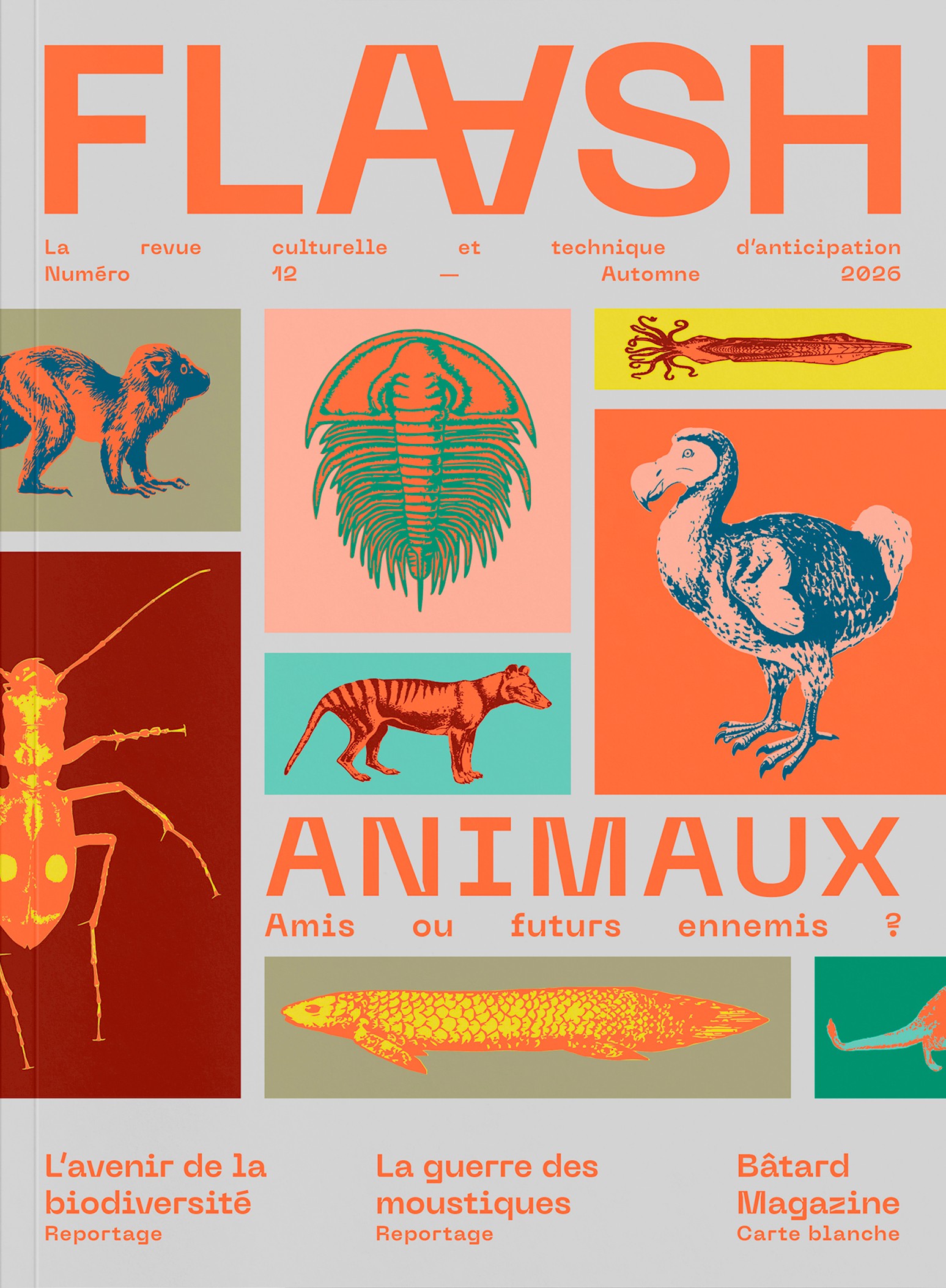FLAASH N°12 - AUTOMNE 2026